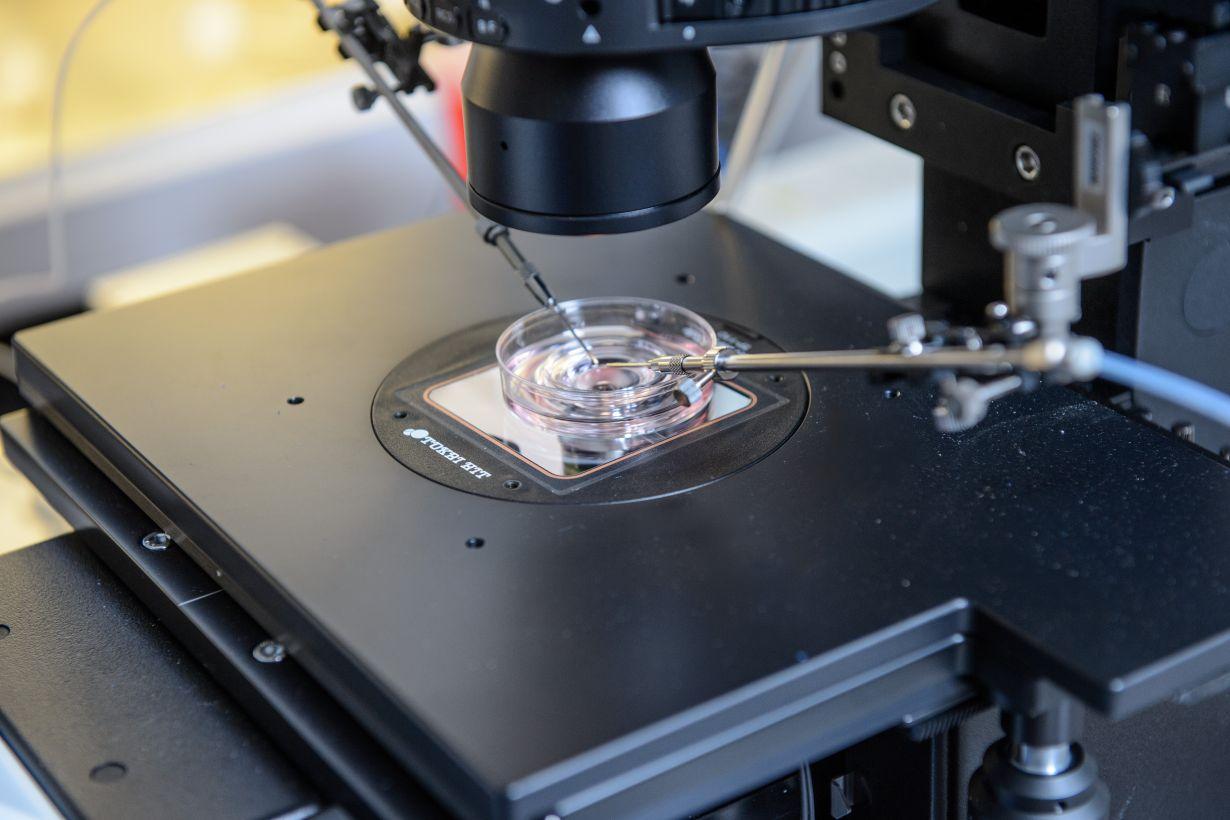 IVF with donor sperm